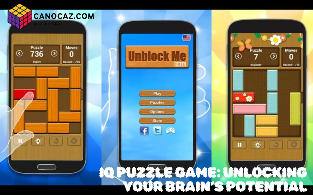 IQ Puzzle Game: Unlocking Your Brain’s Potential